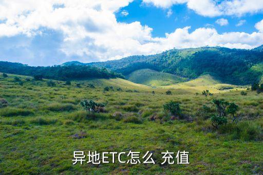 安徽etc充值,安徽ETC充值A(chǔ)PP二維碼