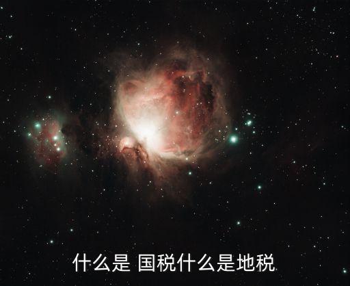 國稅