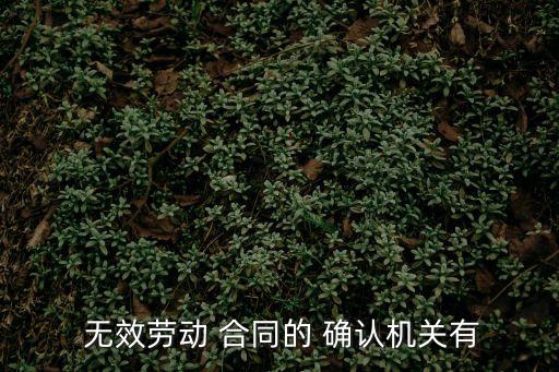  無效勞動 合同的 確認(rèn)機關(guān)有