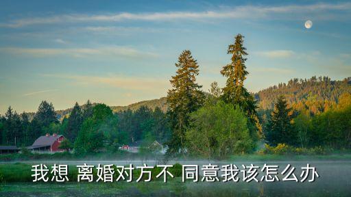 我想 離婚對(duì)方不 同意我該怎么辦