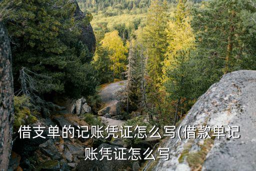  借支單的記賬憑證怎么寫(借款單記賬憑證怎么寫