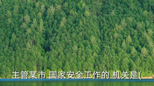 主管某市 國(guó)家安全工作的 機(jī)關(guān)是(