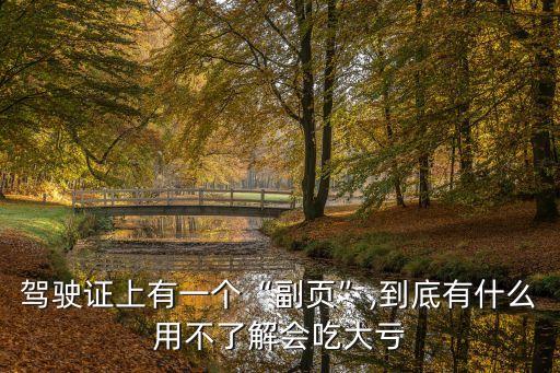 駕駛證上有一個“副頁”,到底有什么用不了解會吃大虧