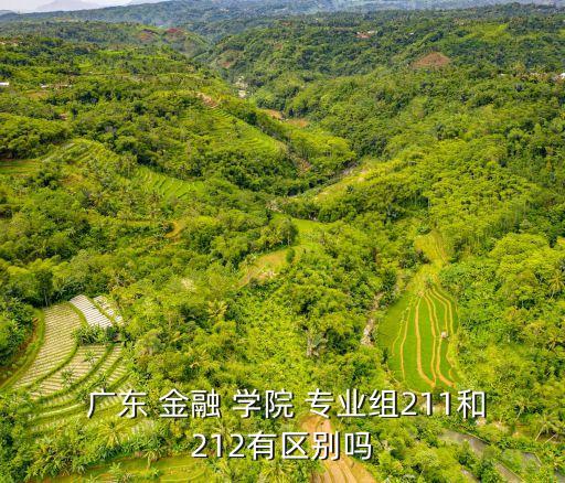 廣東金融學院專業(yè)