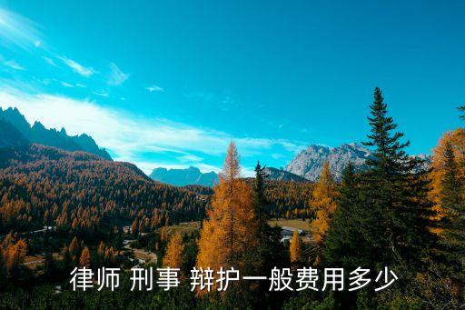 律師刑事辯護(hù)
