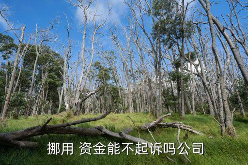 挪用資金一般不立案,私人企業(yè)法人挪用資金一般不立案