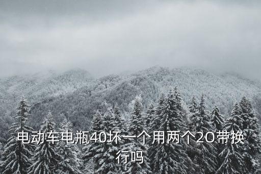 電動車電瓶40壞一個用兩個2O帶換行嗎