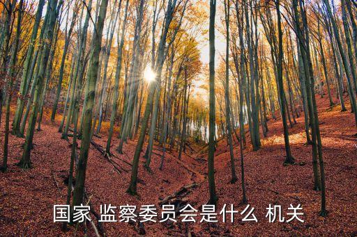 國家 監(jiān)察委員會是什么 機關
