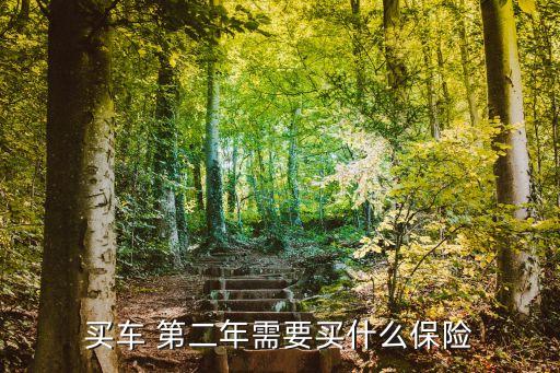 第二年車險買哪幾項(xiàng),保險報(bào)價查詢