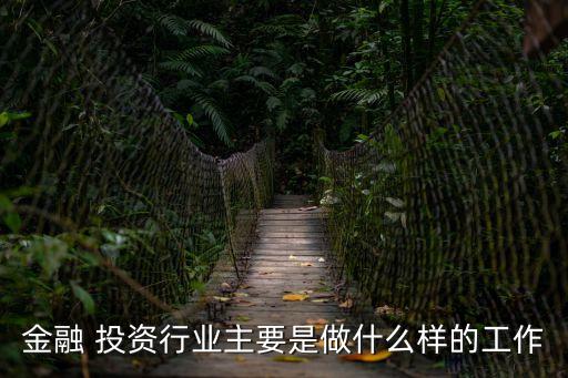 金融 投資行業(yè)主要是做什么樣的工作