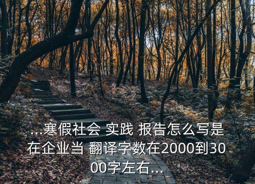 ...寒假社會 實踐 報告怎么寫是在企業(yè)當(dāng) 翻譯字數(shù)在2000到3000字左右...
