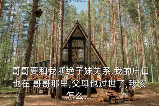 哥哥和我