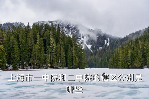 上海市普陀區(qū)人民法院