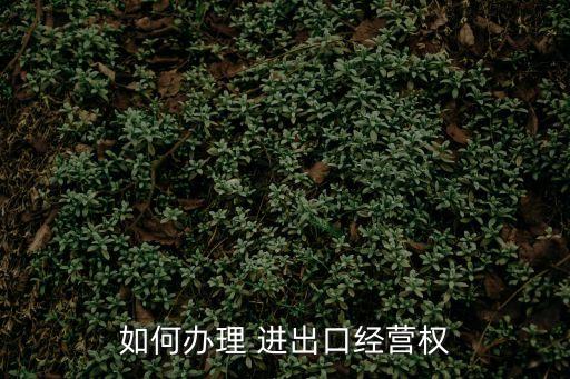 如何辦理 進出口經(jīng)營權(quán)