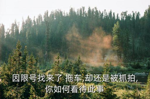 因限號找來了 拖車,卻還是被抓拍,你如何看待此事