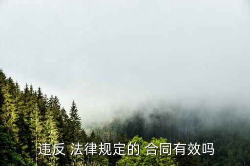 合同內(nèi)容違反法律,合同部分條款違反法律規(guī)定