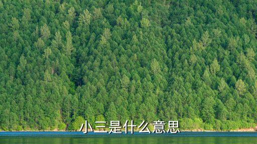 小三什么意思,做夢夢到自己做小三什么意思
