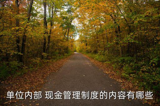 單位內(nèi)部 現(xiàn)金管理制度的內(nèi)容有哪些