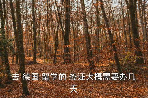 去 德國 留學(xué)的 簽證大概需要辦幾天