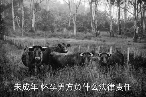 未成年人懷孕