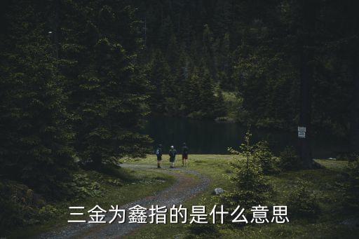 黃鑫