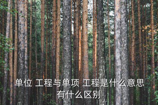  單位 工程與單項 工程是什么意思有什么區(qū)別