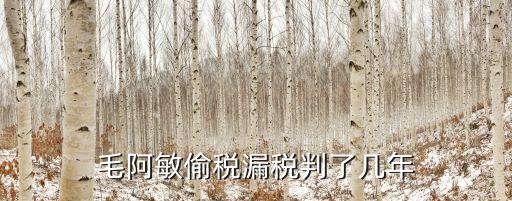 逃稅案