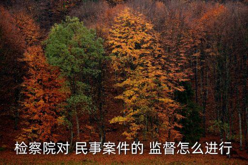檢察院對 民事案件的 監(jiān)督怎么進(jìn)行