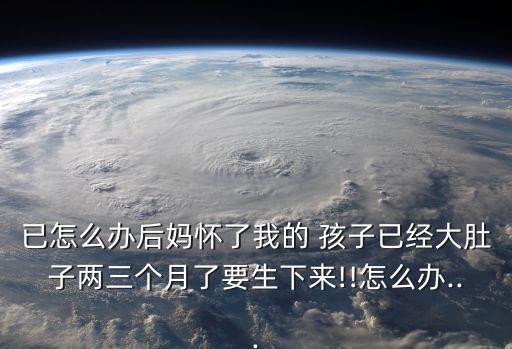 已怎么辦后媽懷了我的 孩子已經(jīng)大肚子兩三個月了要生下來!!怎么辦...