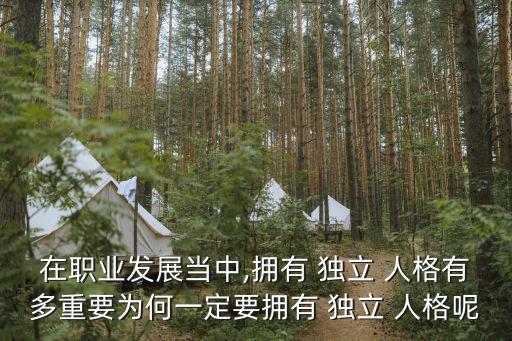 在職業(yè)發(fā)展當(dāng)中,擁有 獨(dú)立 人格有多重要為何一定要擁有 獨(dú)立 人格呢