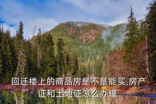 回遷樓