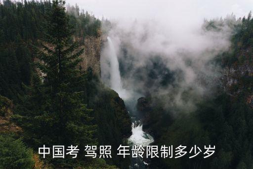 考駕照年齡