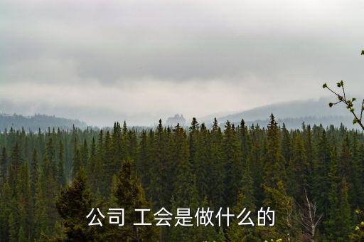 企業(yè)工會(huì)