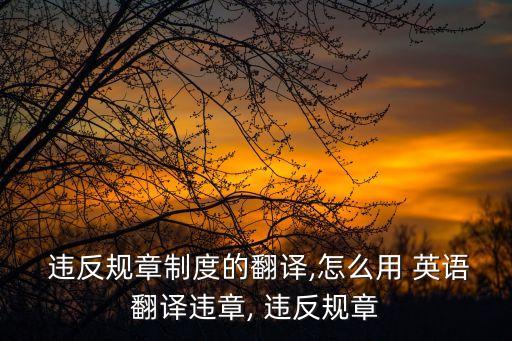 違反規(guī)定英語怎么說,沒有違反規(guī)定用英語怎么說
