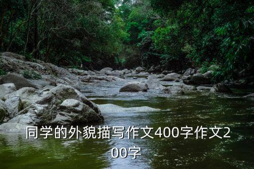 同學(xué)的外貌描寫作文400字作文200字