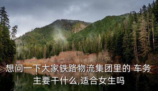 想問一下大家鐵路物流集團(tuán)里的 車務(wù)主要干什么,適合女生嗎