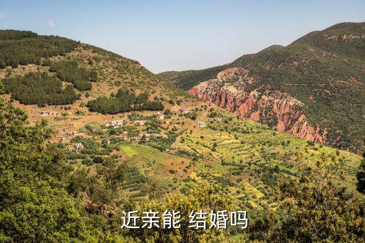 近親能不能結(jié)婚,日本近親能不能結(jié)婚