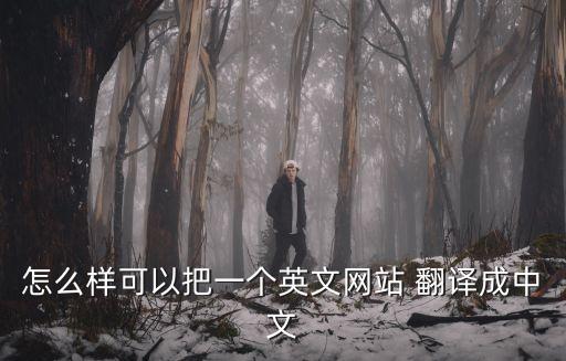 怎么樣可以把一個(gè)英文網(wǎng)站 翻譯成中文