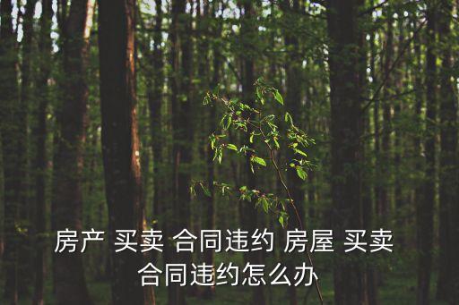 房屋買賣合同糾紛如何處理最新