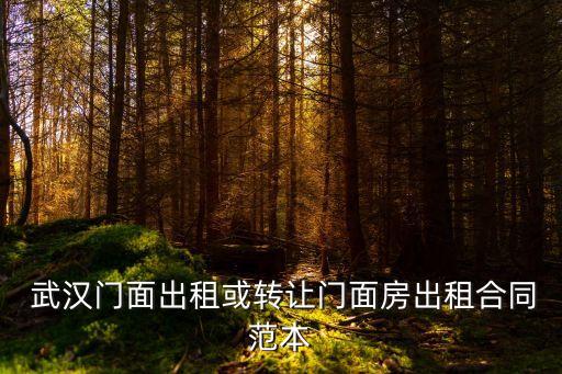 武漢周邊合同法律師有哪些