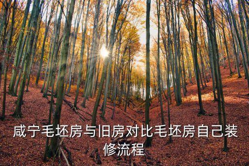 咸寧毛坯房與舊房對比毛坯房自己裝修流程