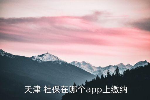 天津社保