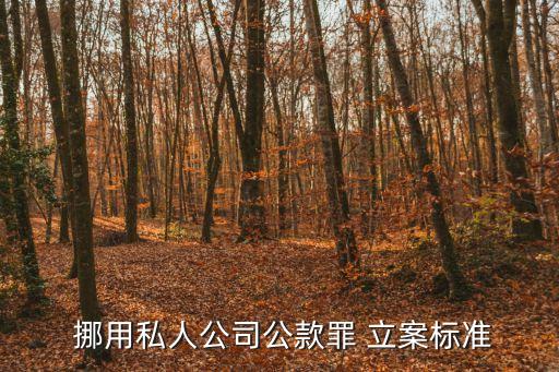  挪用私人公司公款罪 立案標(biāo)準(zhǔn)