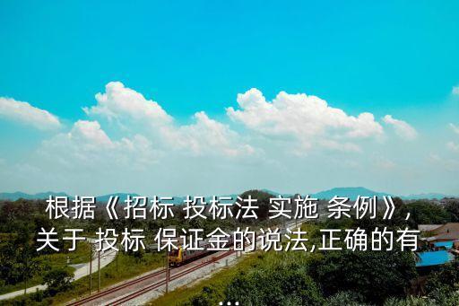 根據(jù)《招標(biāo) 投標(biāo)法 實施 條例》,關(guān)于 投標(biāo) 保證金的說法,正確的有...