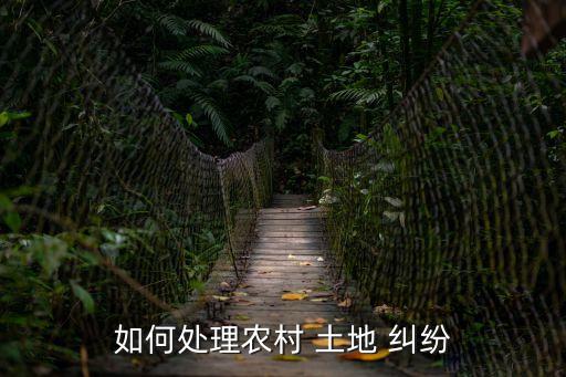 如何處理農(nóng)村 土地 糾紛
