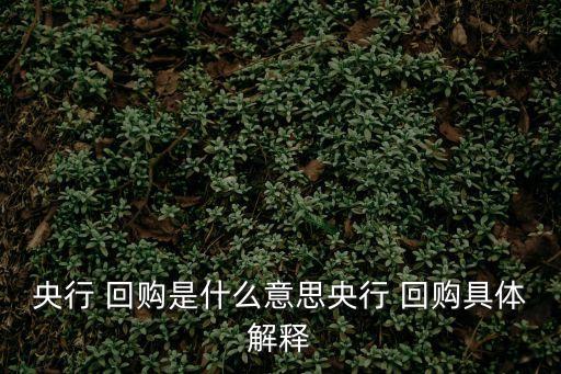 央行 回購是什么意思央行 回購具體解釋
