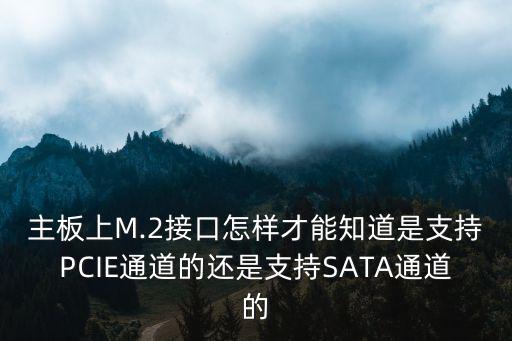 m認主協(xié)議