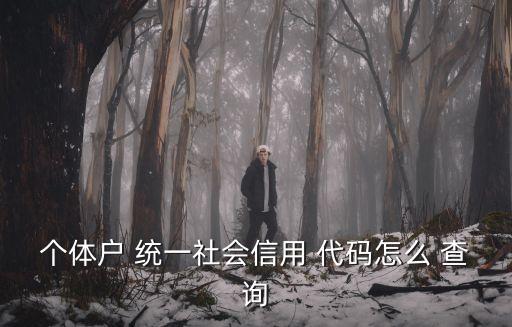 個(gè)體戶 統(tǒng)一社會(huì)信用 代碼怎么 查詢