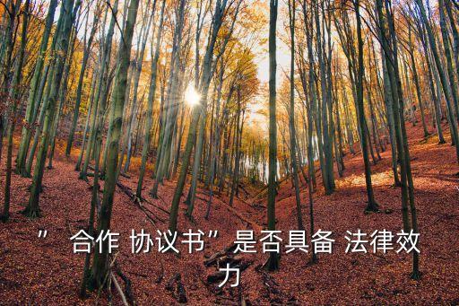 個人合作協(xié)議有法律效應嗎怎么寫,意向性合作協(xié)議有法律效應嗎