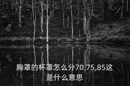 70是什么意思,智力低于70是什么意思